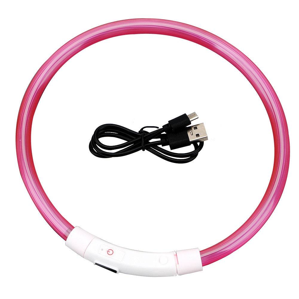 Collier lumineux LED pour chien
