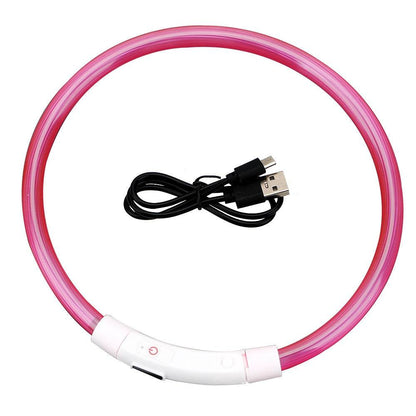 Collier lumineux LED pour chien