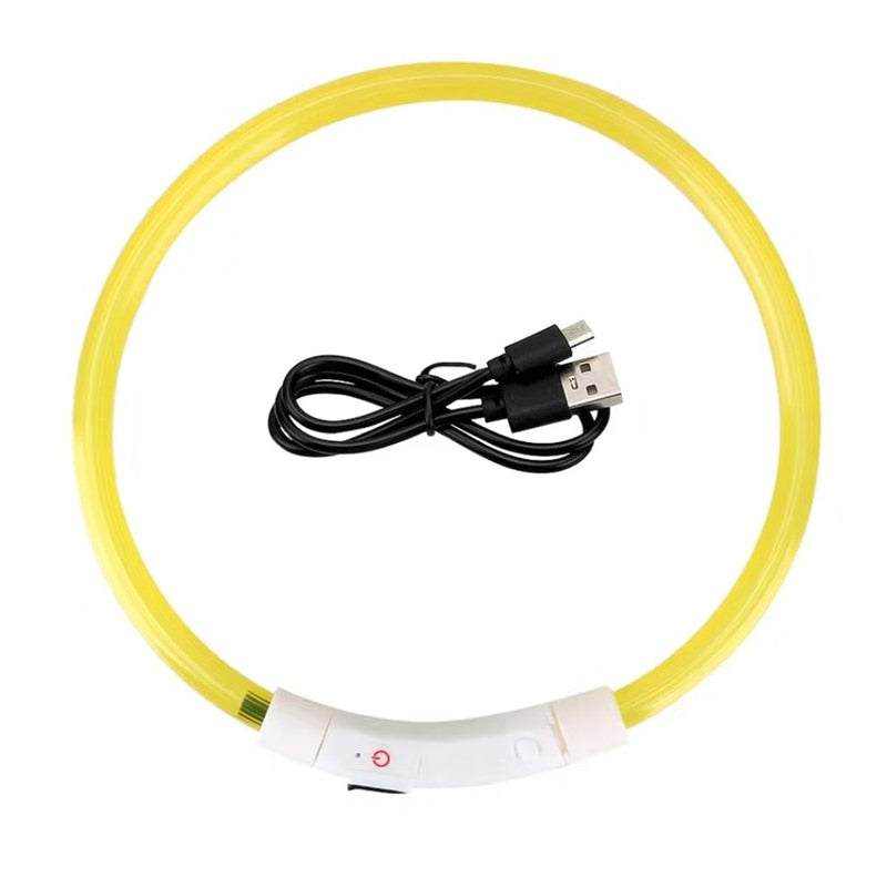 Collier lumineux LED pour chien