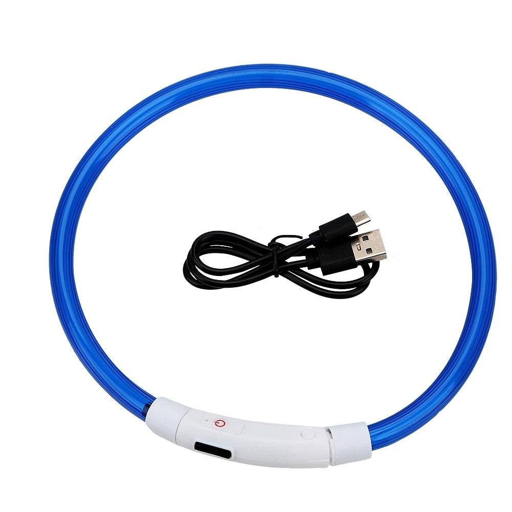 Collier lumineux LED pour chien