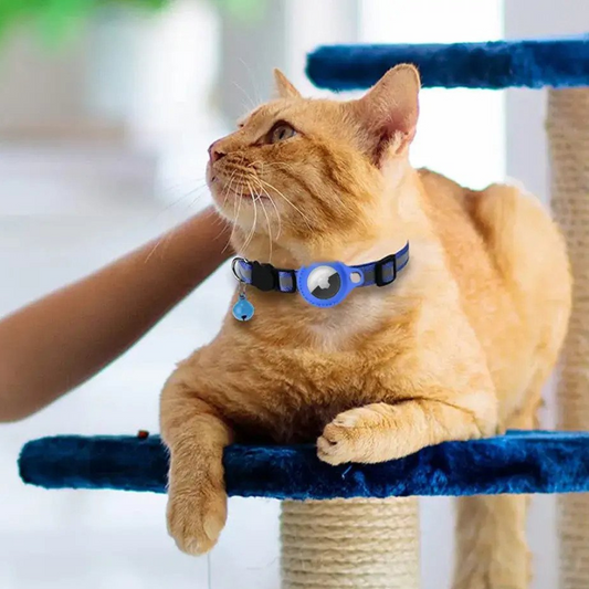 Médaille pour collier de chat