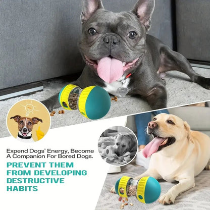 Distributeur de Nourriture Réglable pour Chien