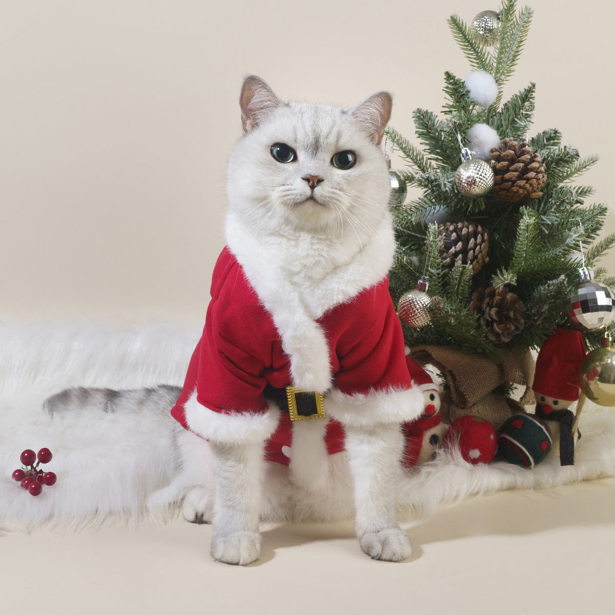 Vêtements de Noël pour chats d'automne et d'hiver