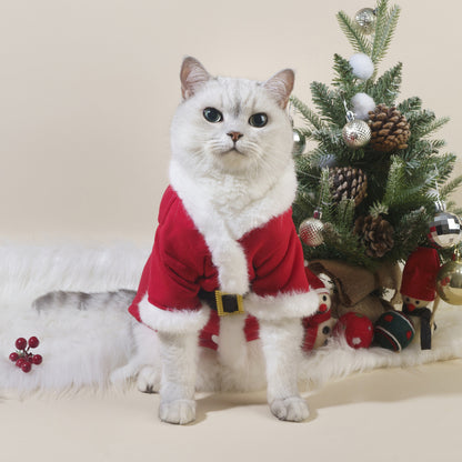 Vêtements de Noël pour chats d'automne et d'hiver