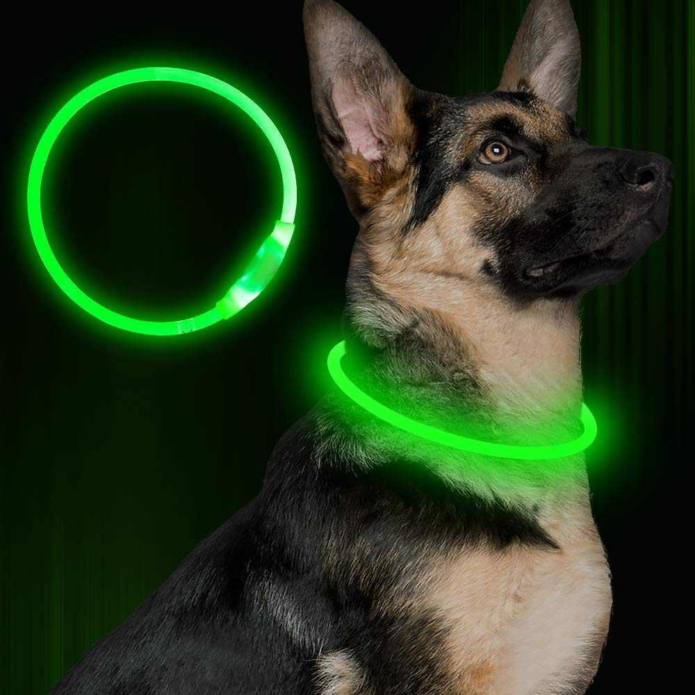 Collier lumineux LED pour chien