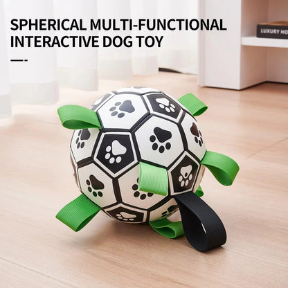 Ballon de football pour chien